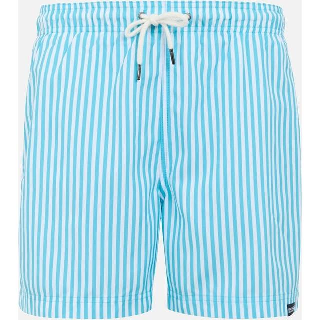 (XXL, Aquarius Blue) Regatta Mens Loras Striped Swim Shorts