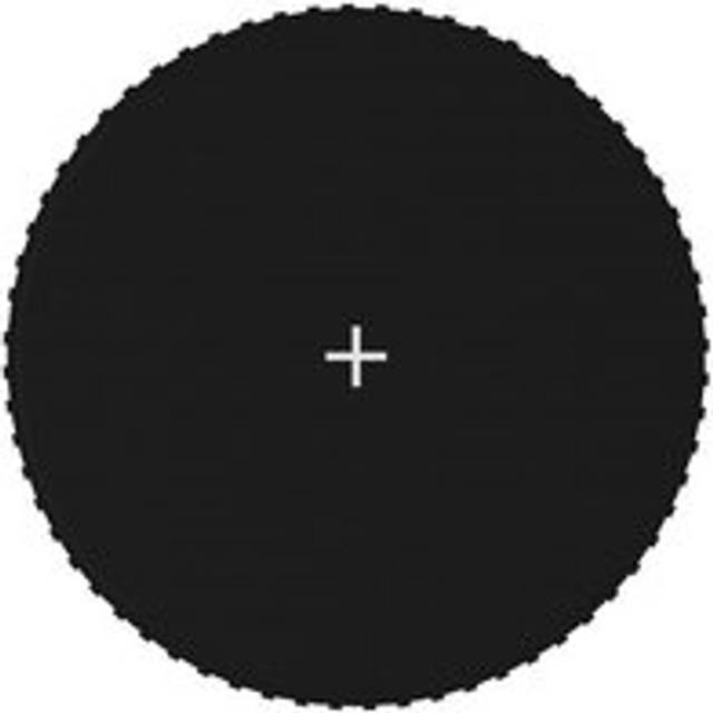 Jumping Mat Fabric Black for 12 Feet/3.66 m Round Trampoline - One Size