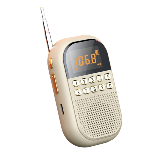 Pocket FM AM Radio Large LCD Display DSP Radios Receiver Wireless B