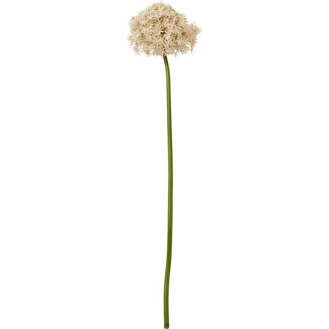 Pink Giant Allium (Single Stem Flower) - Plastic - L21 x W21 x H90 cm - Pink