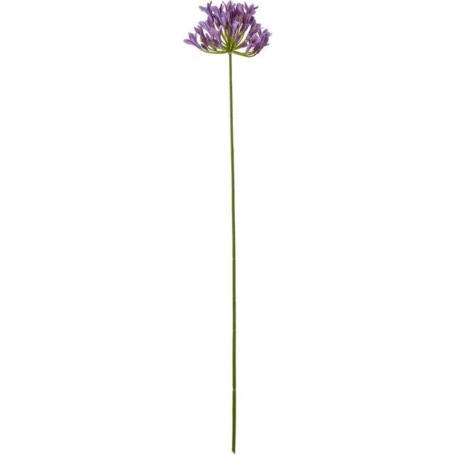 Lilac Agapanthus Spray