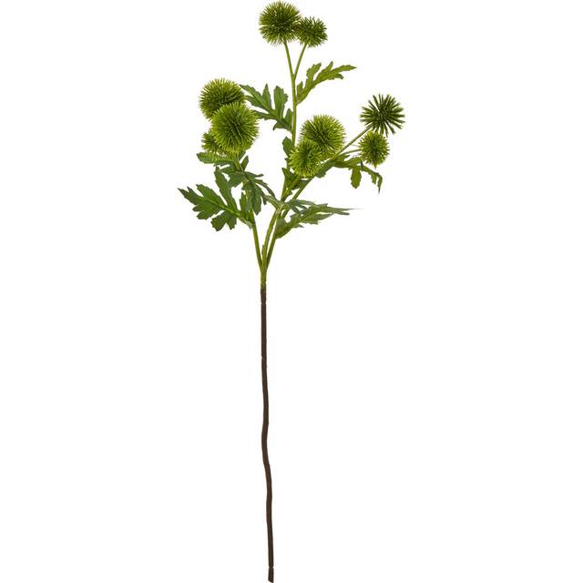 Green Globe Thistle Spray