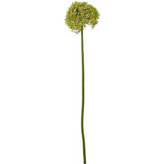 Giant Allium (Single Stem Flower) - Plastic - L21 x W21 x H90 cm - Green