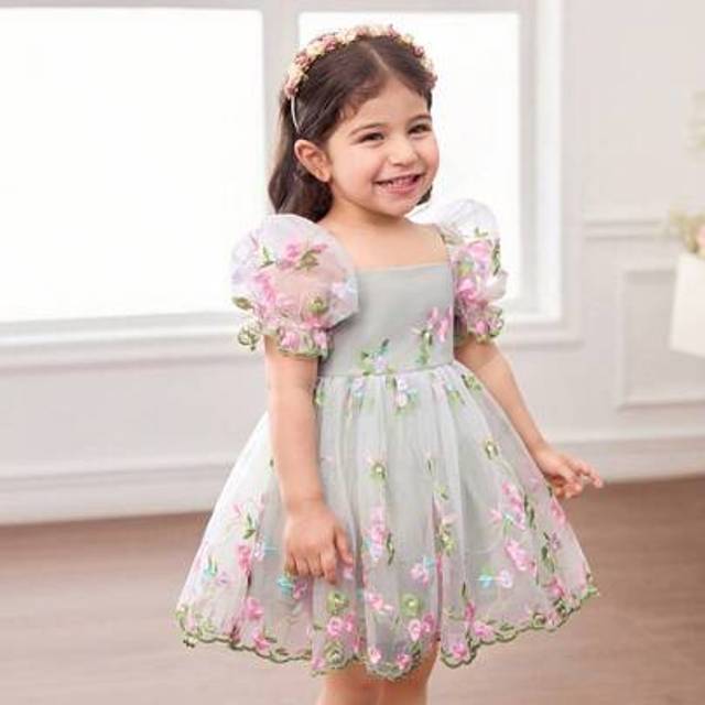 SHEIN Babygirl Cute & Elegant Green Floral Embroidered Mesh Short Sleeve Dress