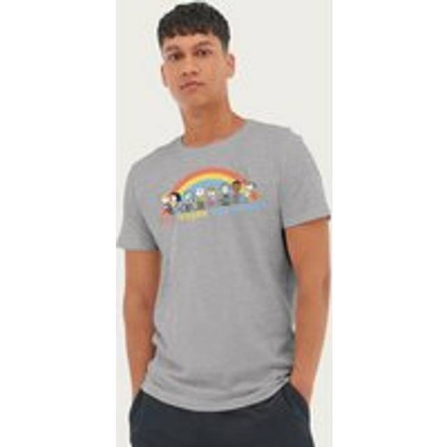 Rainbow All Vibes Welcome Snoopy & Gang Peanuts T-Shirt - Mid Grey - XXL
