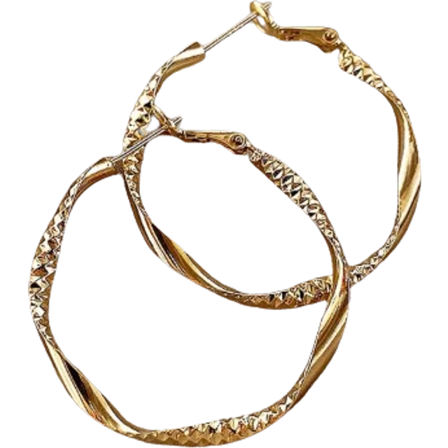 SHEIN Textured Twist Design Hoop Earrings