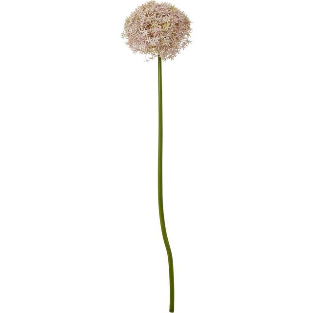 Giant Allium (Single Stem Flower) - Plastic - L21 x W21 x H90 cm - Lilac
