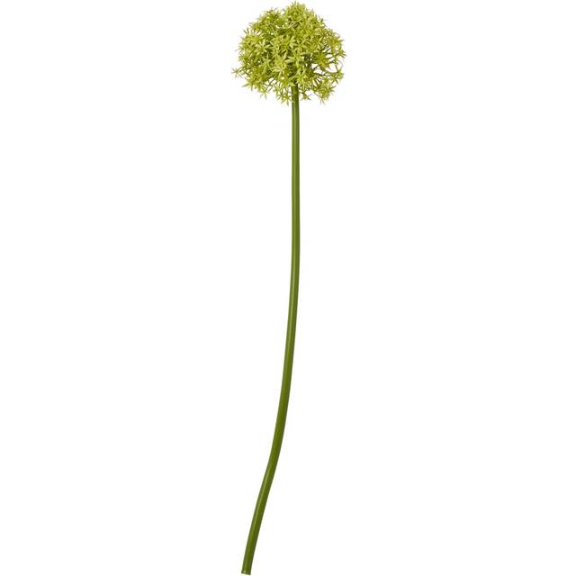 Medium Allium (Single Stem Flower) - Plastic - L16 x W16 x H80 cm - Green