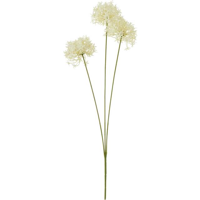 Three Head Cream Allium Spray