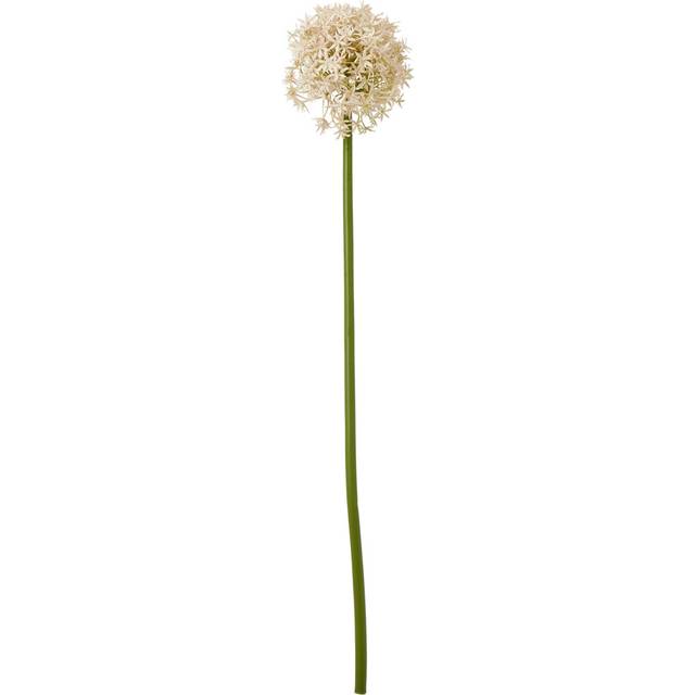 Pink Medium Allium Stem