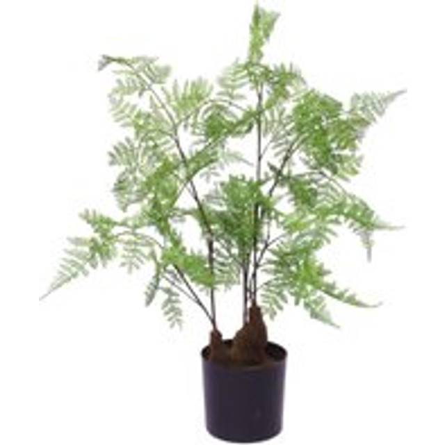 60cm Artificial Natural Moss Base Fern Foliage Plant
