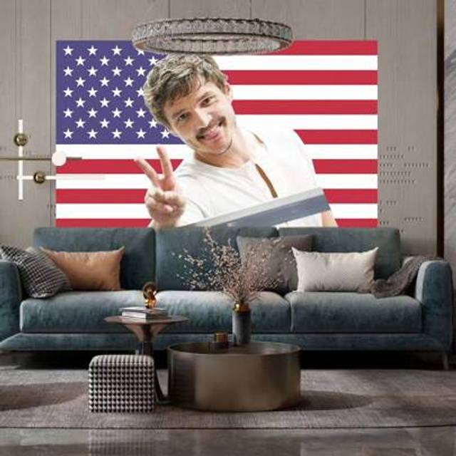 SHEIN Pedro Pascal American Flag Bedroom Decoration Wall Hanging Tapestry Room Decor,Holiday Gifts,Dorm Decor