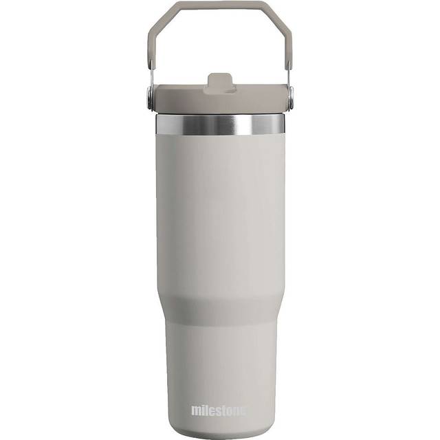 (Grey) Milestone Insulated Flip Straw Drinking Bottle