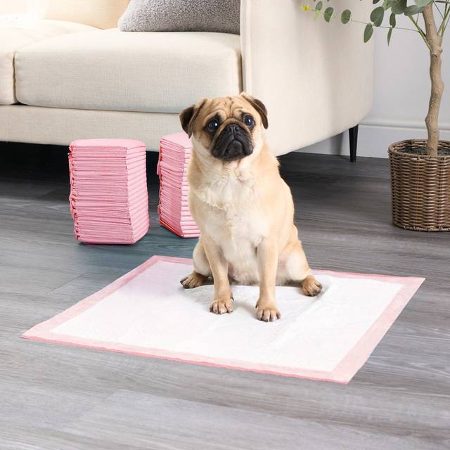 Puppy Pads Dog Training Absorbent Floor Mat - Baby Pink - 60cm x 60cm