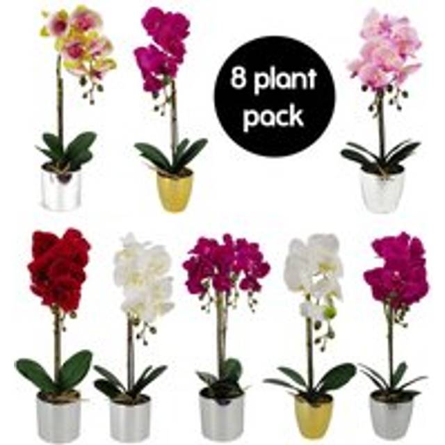 Pack of 8 Artificial Orchids in Pots