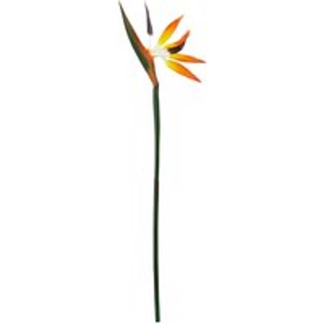 Premier Housewares - Fiori Bird of Paradise - 92cm