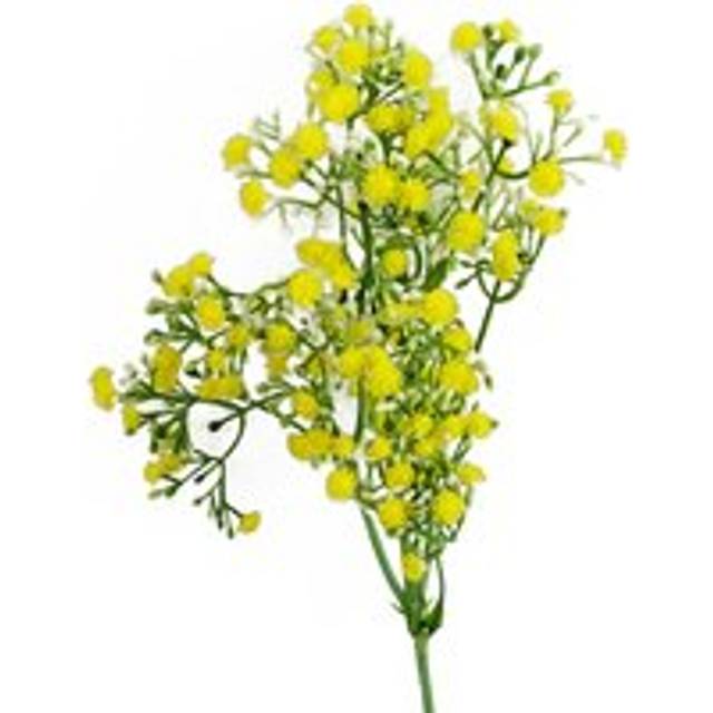 55cm Gypsophila Stem - Yellow (55cm H X 10cm W X 10cm D)