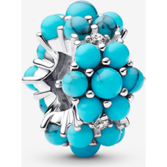 Pandora Charms Ocean Charm 793897C02