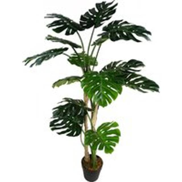 150cm (5ft) Luxury Monstera Plant Black Pot