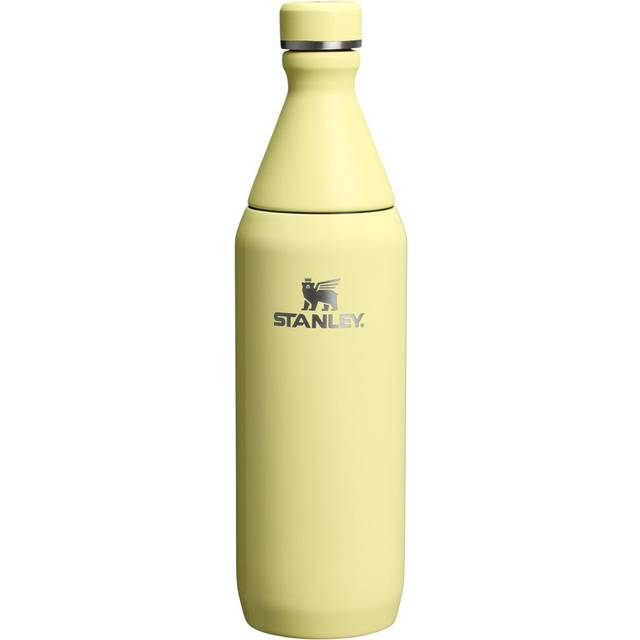 Stanley All Day Slim Bottle 20 oz | Leakproof Twist on Lid | Slim Design for Travel and Gym | Insulated Stainless Steel Water Bottle | BPA-Free | Pome