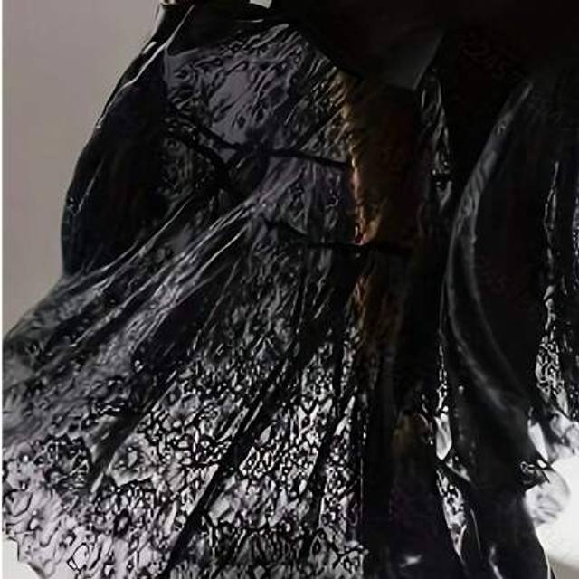 SHEIN Plus Size Sexy Sheer Hollow Lace Maxi A-Line Skirt, Black, Casual And Loose