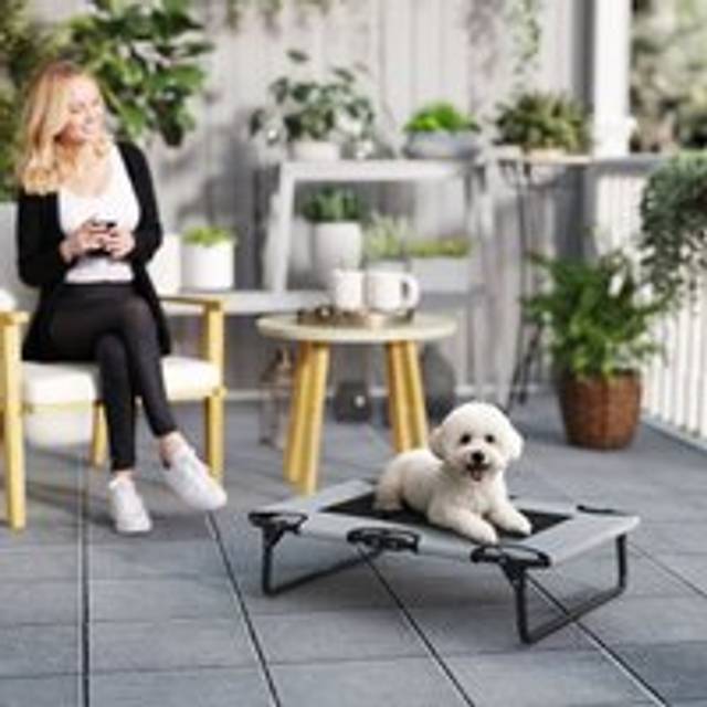 PawHut Raised Dog Bed with Breathable Mesh for S & M Dogs, Light Grey