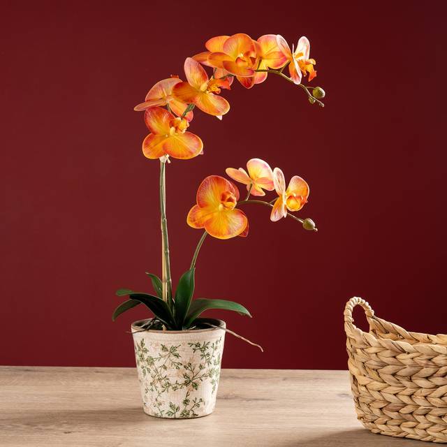 61cm Real Touch Orange Phalaenopsis Orchid in Pot - One Size