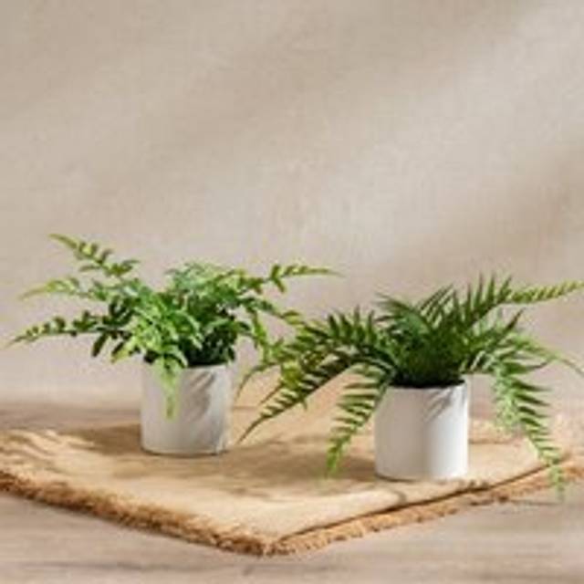 Set of 2 Artificial Ferns in Ceramic Plant Pots - Green