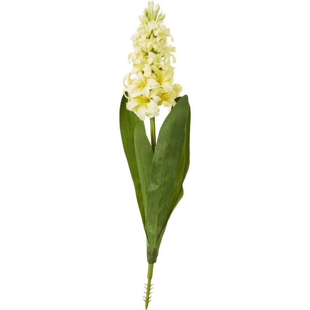 Hyacinth Stem - Yellow (44cm H X 22cm W X 22cm D)