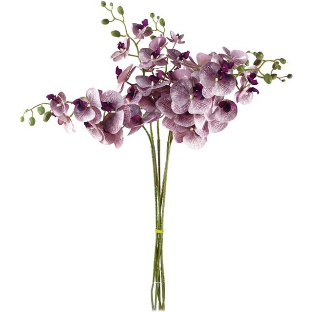 Eucalyptus Stem - Purple (100cm H X 16cm W X 10cm D)