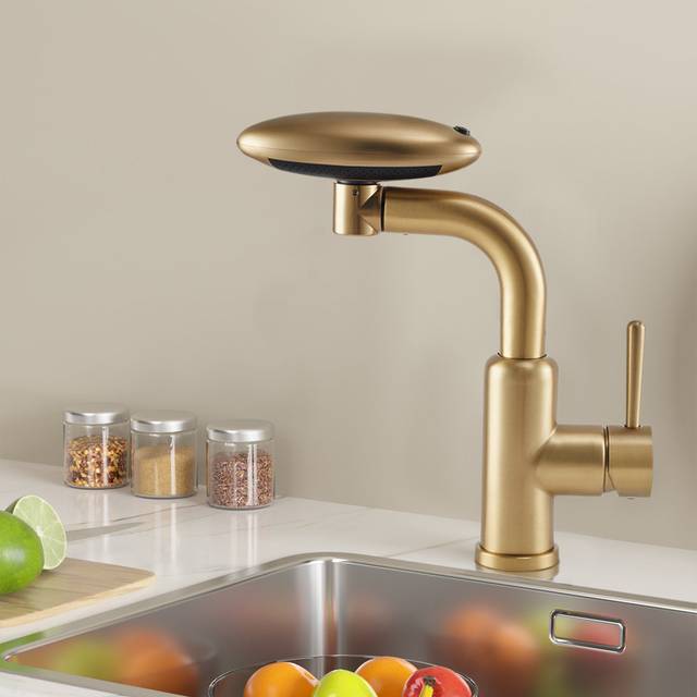 Pull-out Sprayer Retractable Kitchen Faucet with 4 Modes - Gold (10cm)