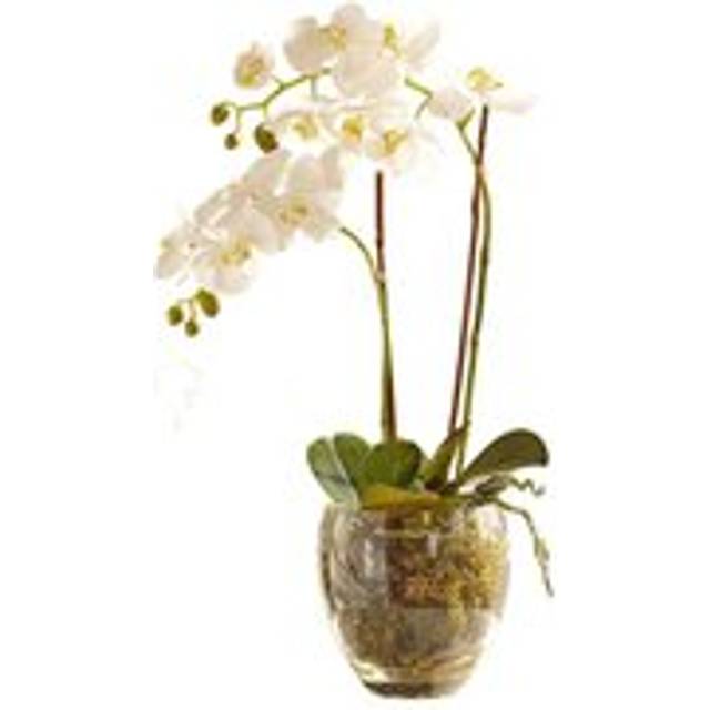 Artificial Double Phalaenopsis White Orchid Flower in Vase - Faux Fake Realistic Floral Home Decoration - H60cm x W30cm - One Size