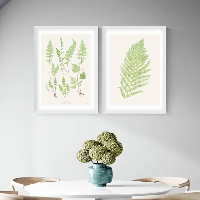 East End Prints Botan Vintage White Frame Art Print - A2