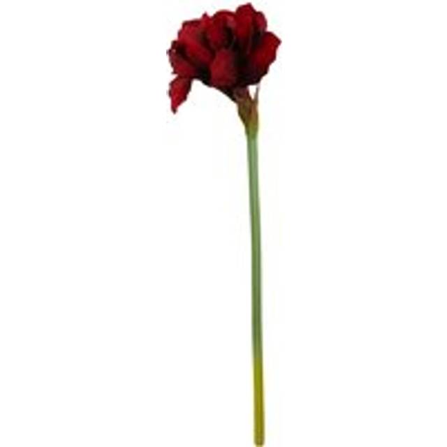 Fiori Amarylilis Stem Burgundy Flower - 72cm - Premier Housewares