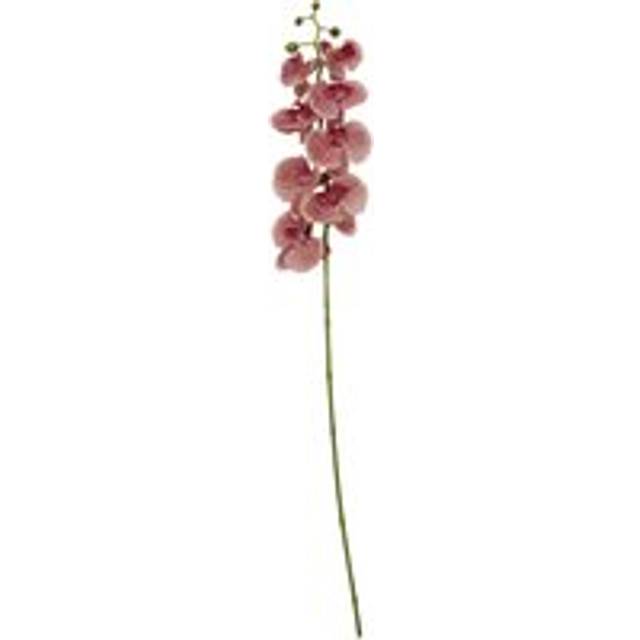 Premier Housewares - Fiori Spray Pink Orchid - 100cm