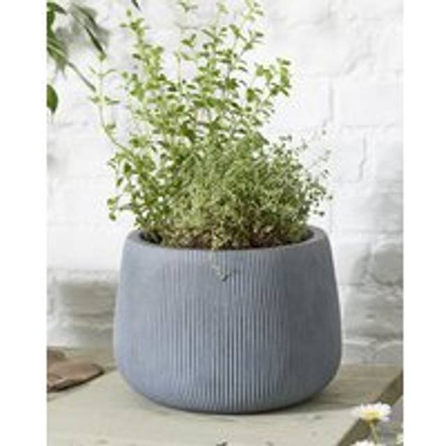 Silverstone Symmetry Stripe Small Fibreclay Summer Outdoor Garden Planter Plant Pot - Grey