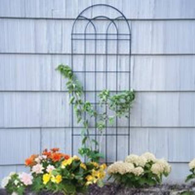 Classic Powder Coated Steel Metal Trellis in Black 182cm - One Size
