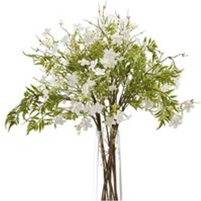 Italian White Bellflower