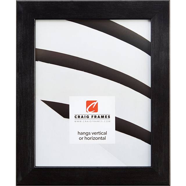 Craig Frames Bauhaus  Modern Black Pine Picture Frame  12 by 12-Inch