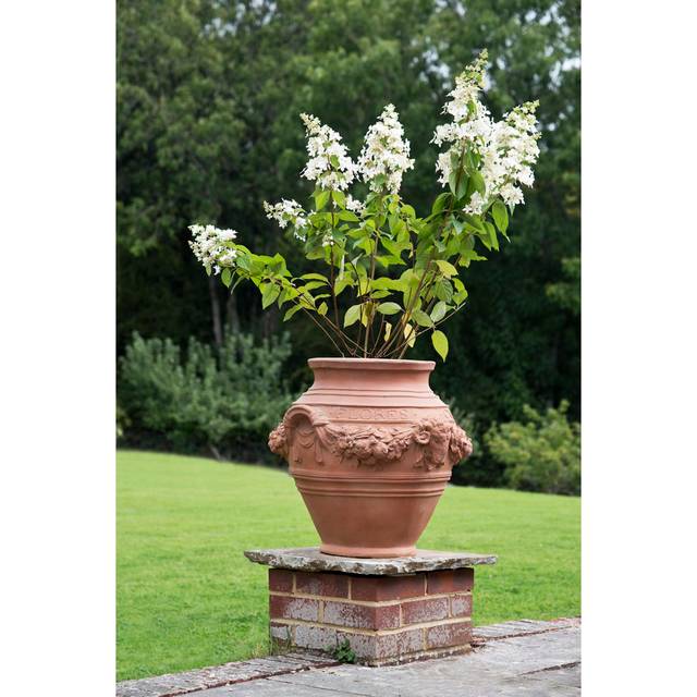 Pennypacker Fiberglass Urn Pot Planter - Terracotta (58cm H X 64cm W X 64cm D)