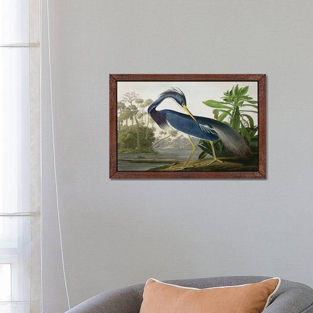 'Louisiana Heron' by John Audubon - Floater Frame Painting Print on Canvas - Brown Framed (66.04 cm H x 45.72 cm W)