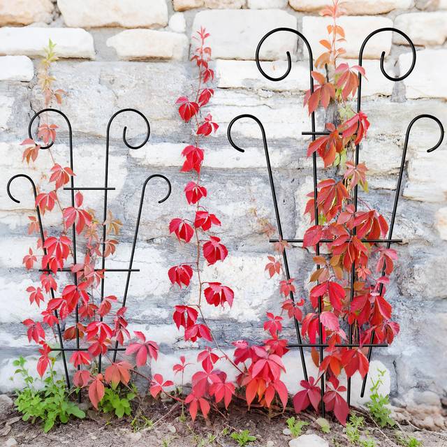 109cm H x 43cm W Metal Fan Trellis - Black (109cm H X 43cm W X 0.5cm D)