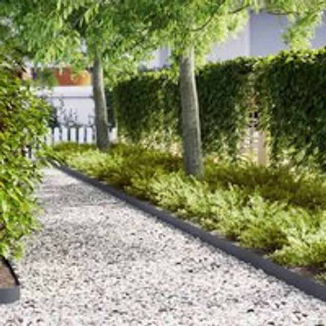 Lawn Edgings 50 pcs Anthracite 100x0.5x15 cm Plastic - Multi - One Size
