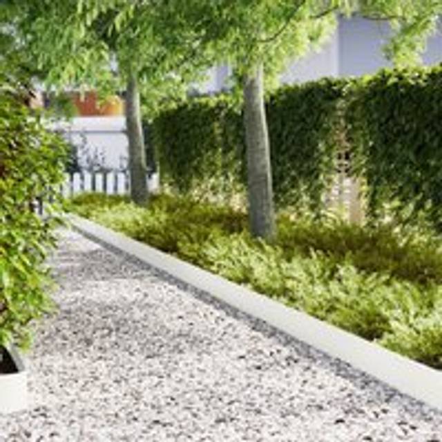 Lawn Edgings 30 pcs White 100x0.5x20 cm Plastic - One Size