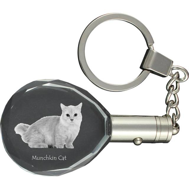Munchkin Cat - Fob with cat photo, crystal key ring in gift box, unique gift by Art-Dog brand transparent