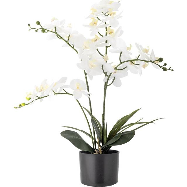 Orchid Konstväxt Vit/Grön