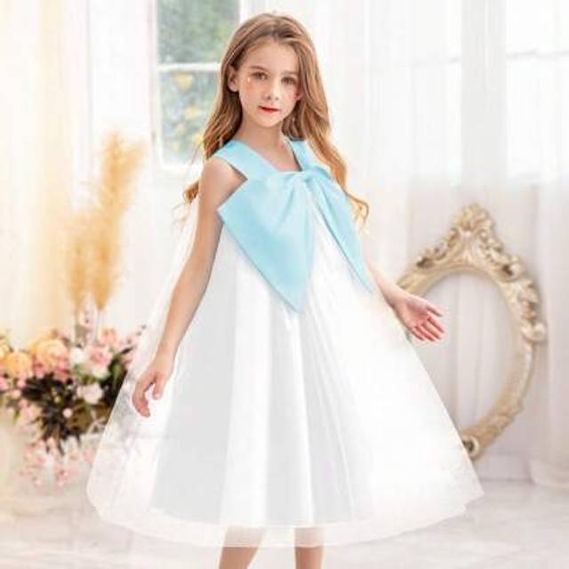 SHEIN Young Girl Colorblock Bow Decor Tulle Puff Princess Dress, Suitable For Girls&#39; Birthday Party, Wedding, Pageant, Ball, Dance, Outdoor Play, Costume