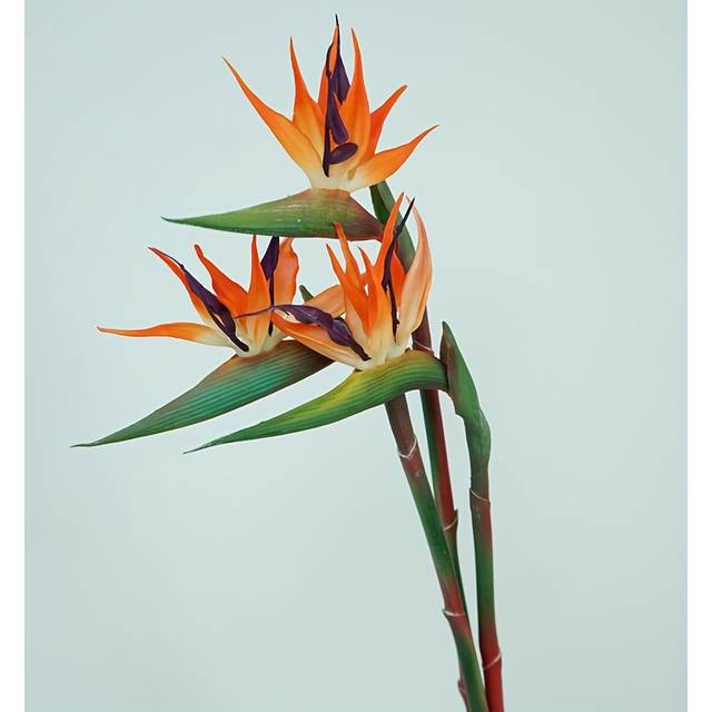 TEMU 3pcs Vibrant Artificial Bird Of Paradise Flowers – Strelitzia With Green Leaves, Orange & For Home, Office, Wedding Table Centerpiece Decor