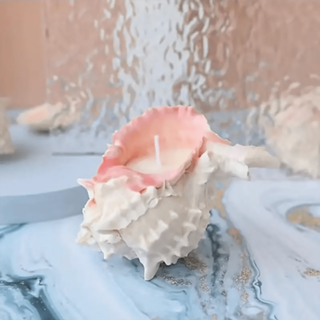 SHEIN 1pc Unique Customized Seashell Scented Candle For Home Decor, Special Birthday Gift, Holiday Atmosphere Enhancing Present Gifts Graduation