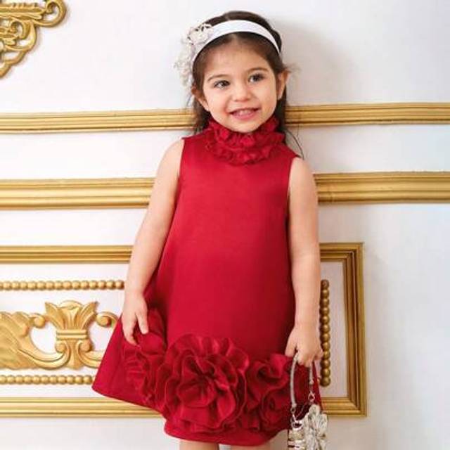 SHEIN Baby Girl Ruffle Trim Stand Collar Short Sleeve 3D Floral A-Line Jacquard Satin Dress, Suitable For Birthday Gifts, Weddings, Parties